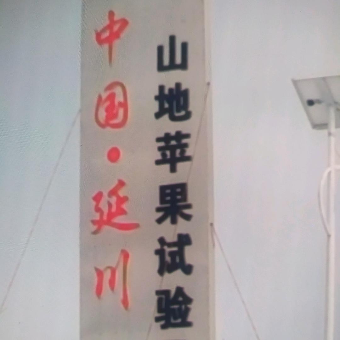 三秦苹果园