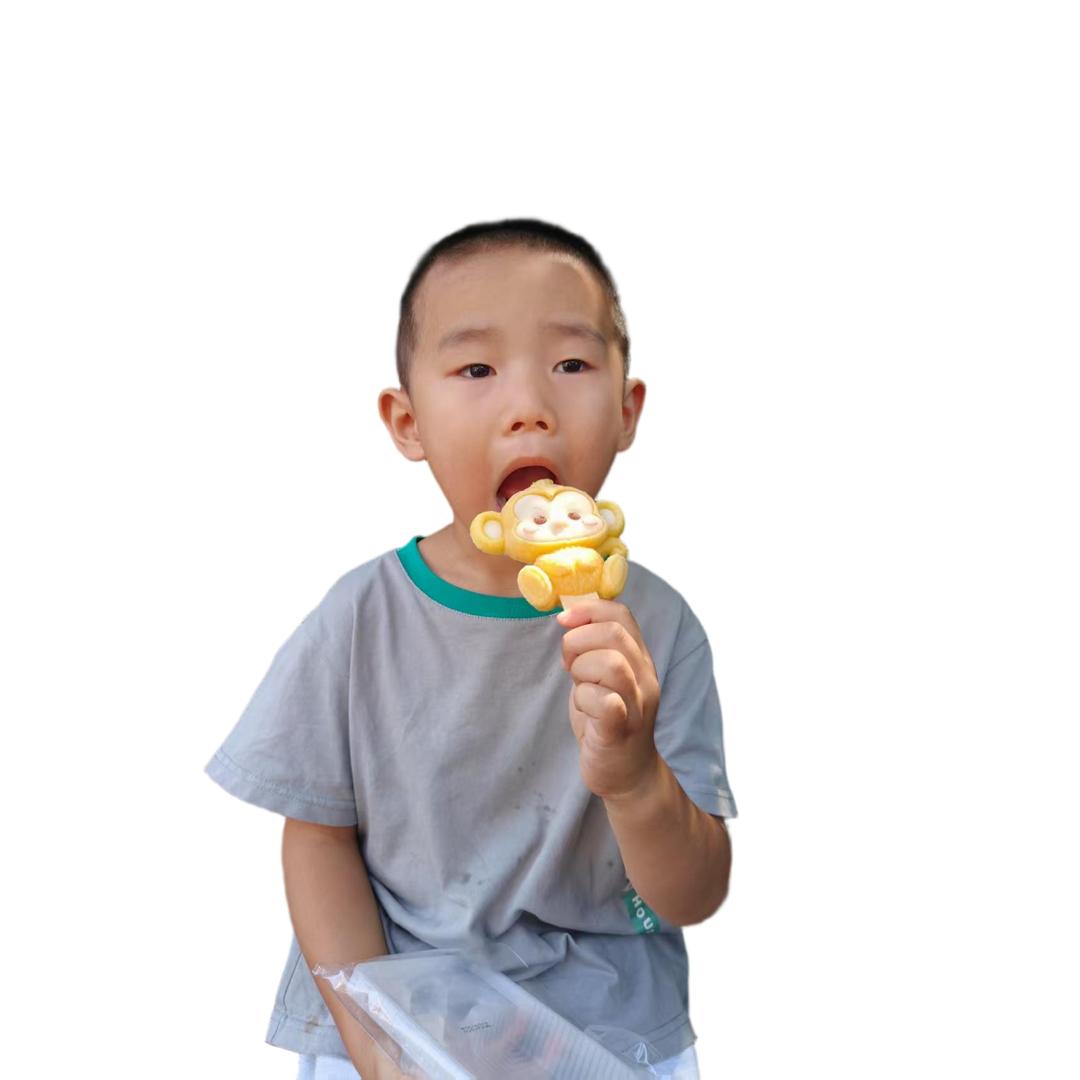少龙