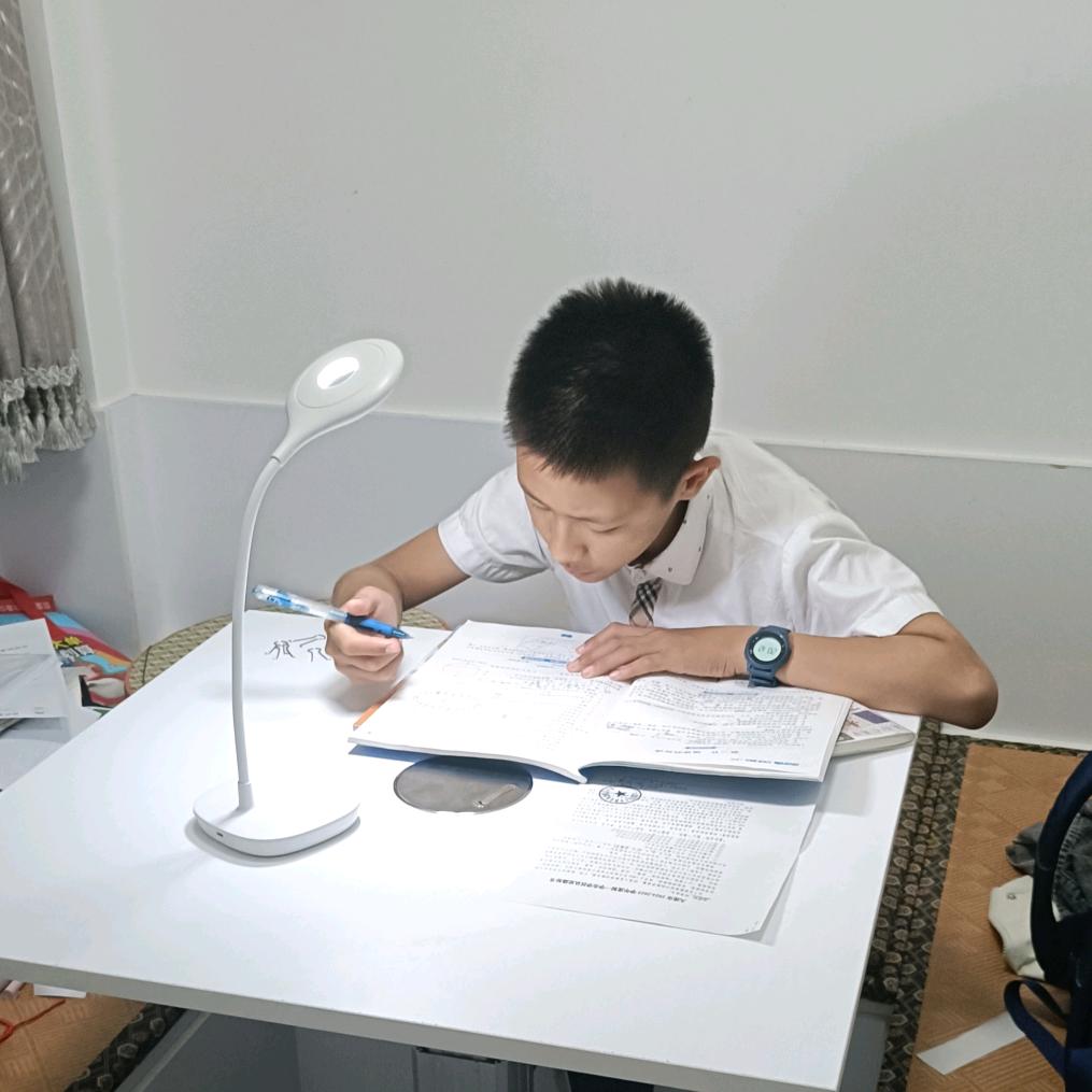 翌轩的刷题日记！