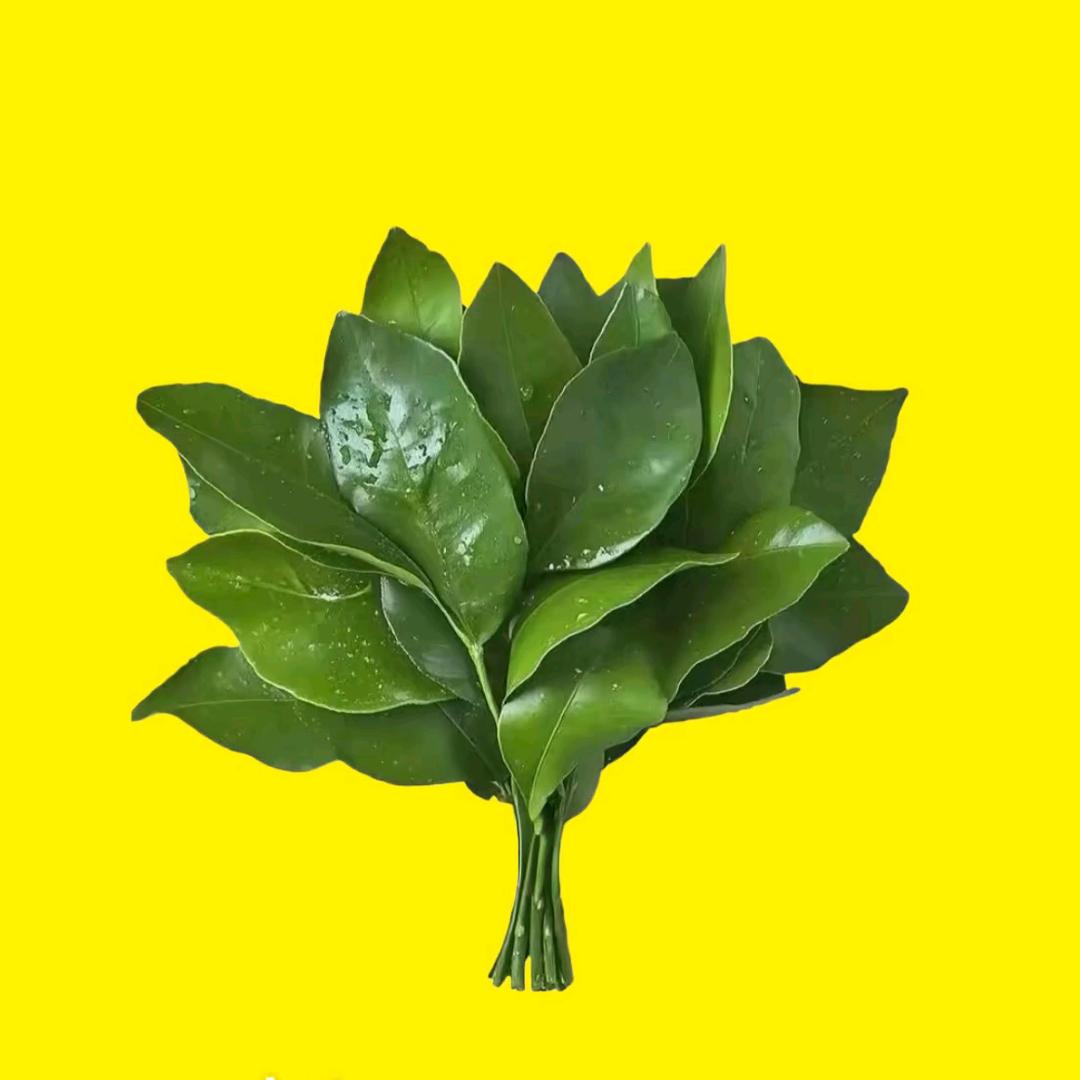 柚子 777