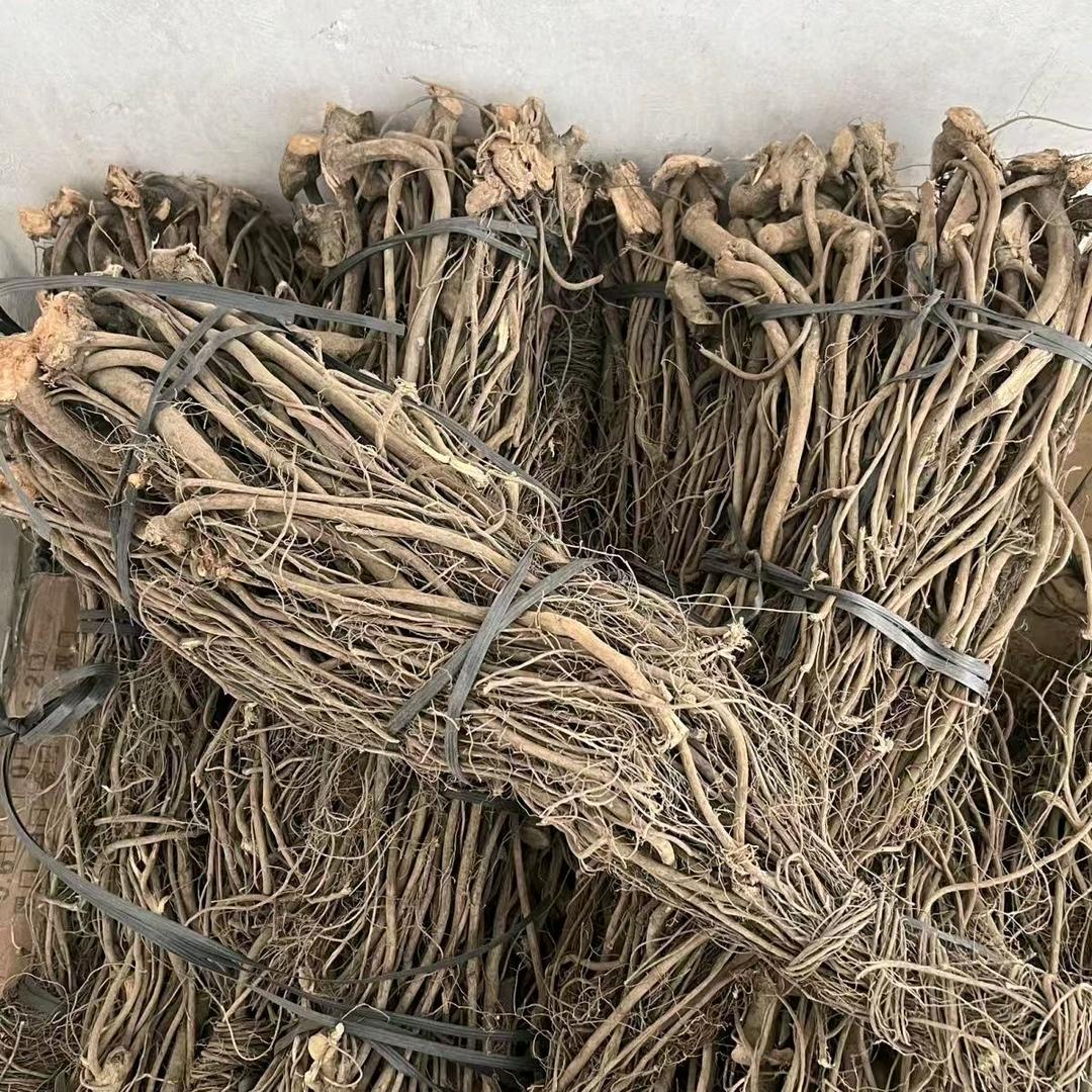 我是一个卖根的（鱼藤根）