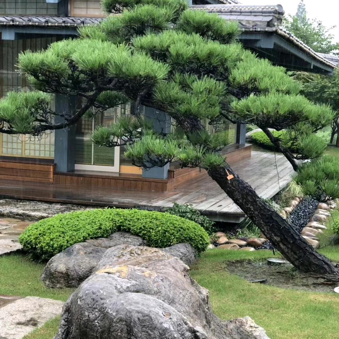 淮水