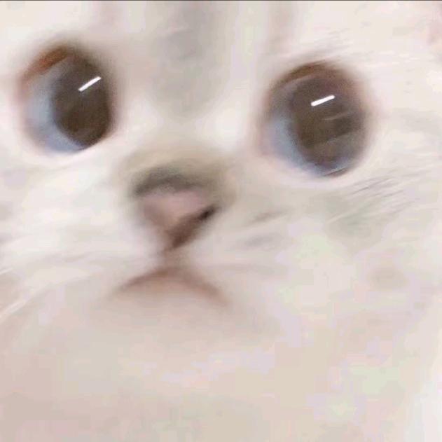 橙子下次保护你.