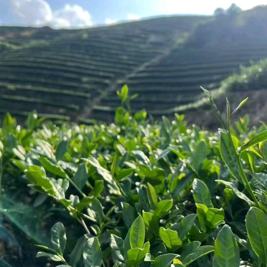 未来可期，用时间证明