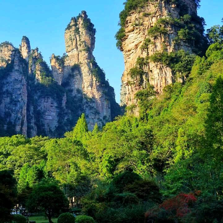 丑马