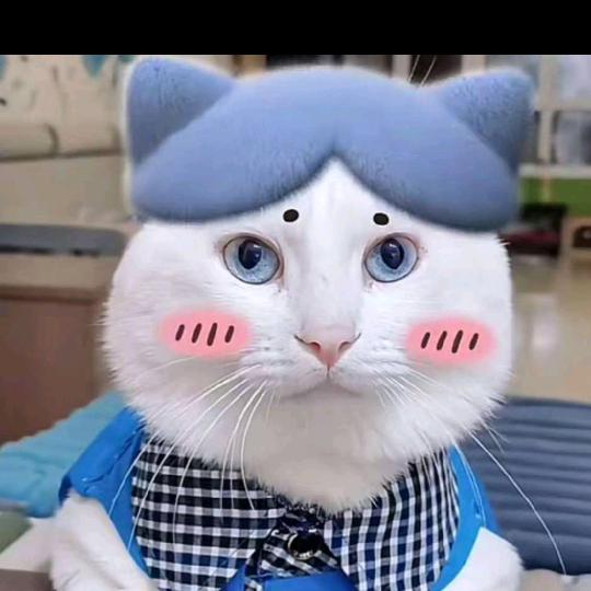 时笙