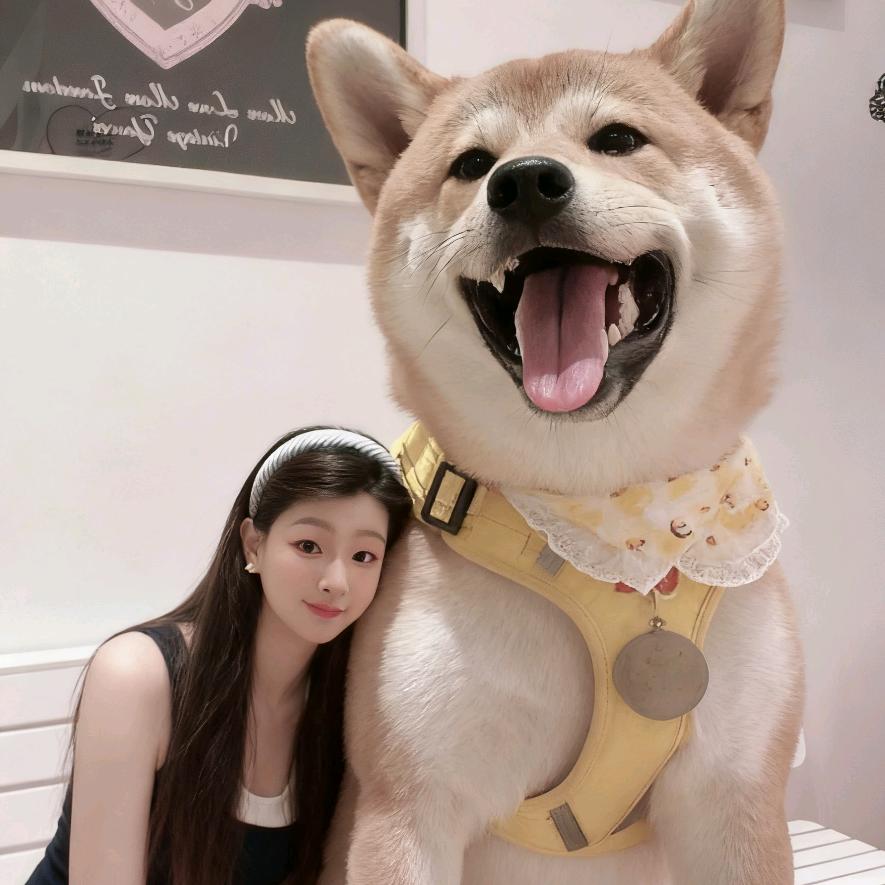 暮辞⁹⁹⁸⁶