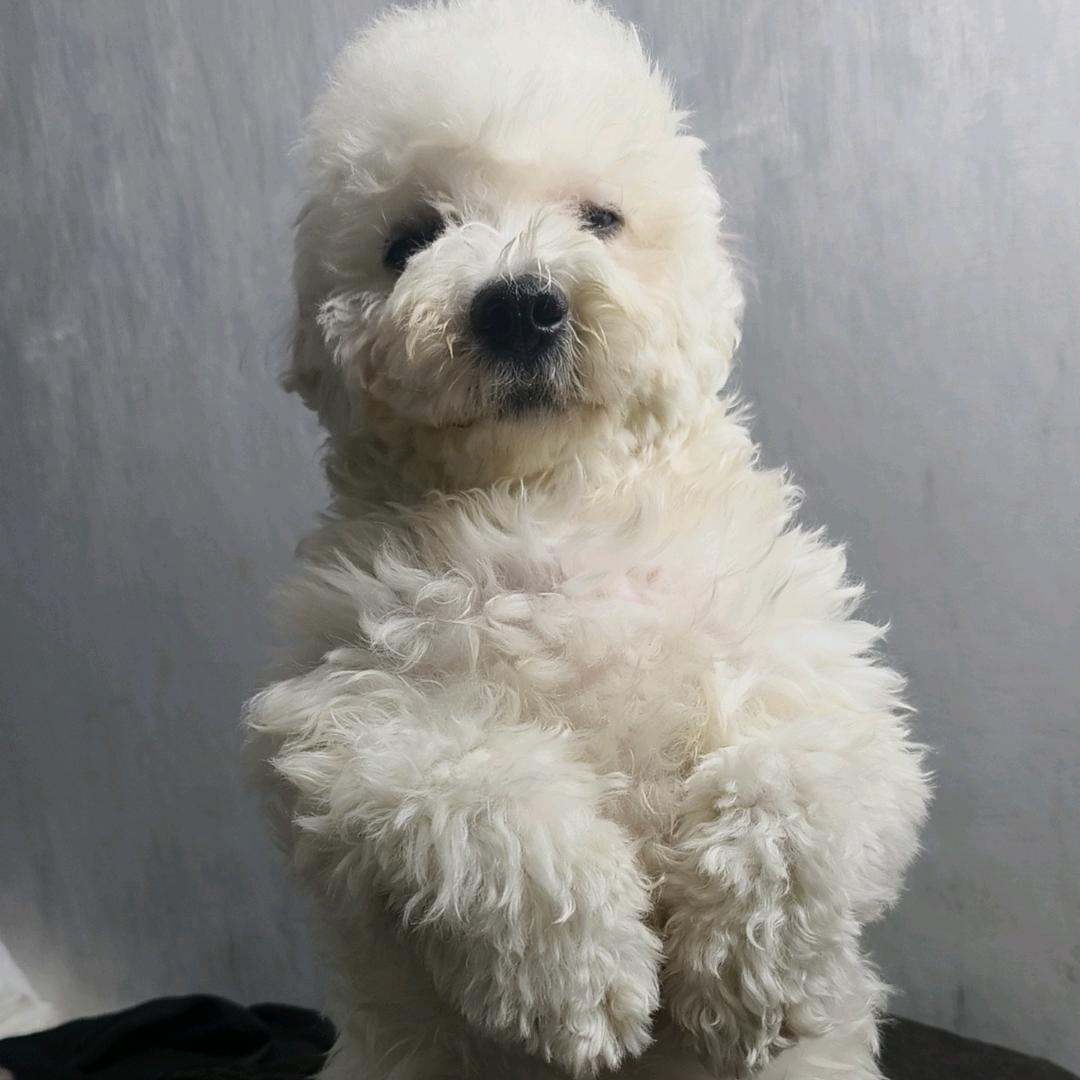 ୧⍤⃝🍉 ⃢     --     ⃢