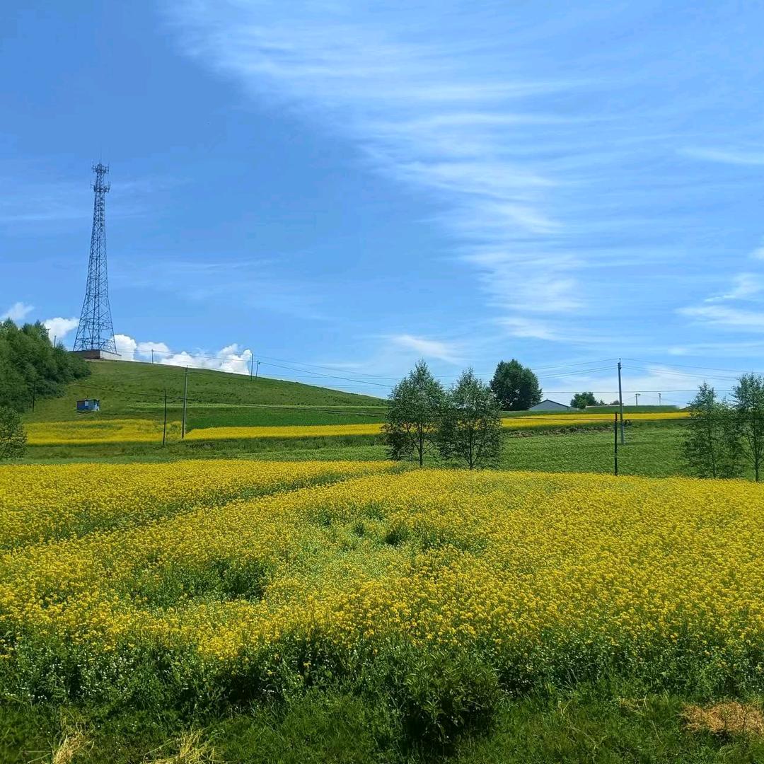 青海省门源县