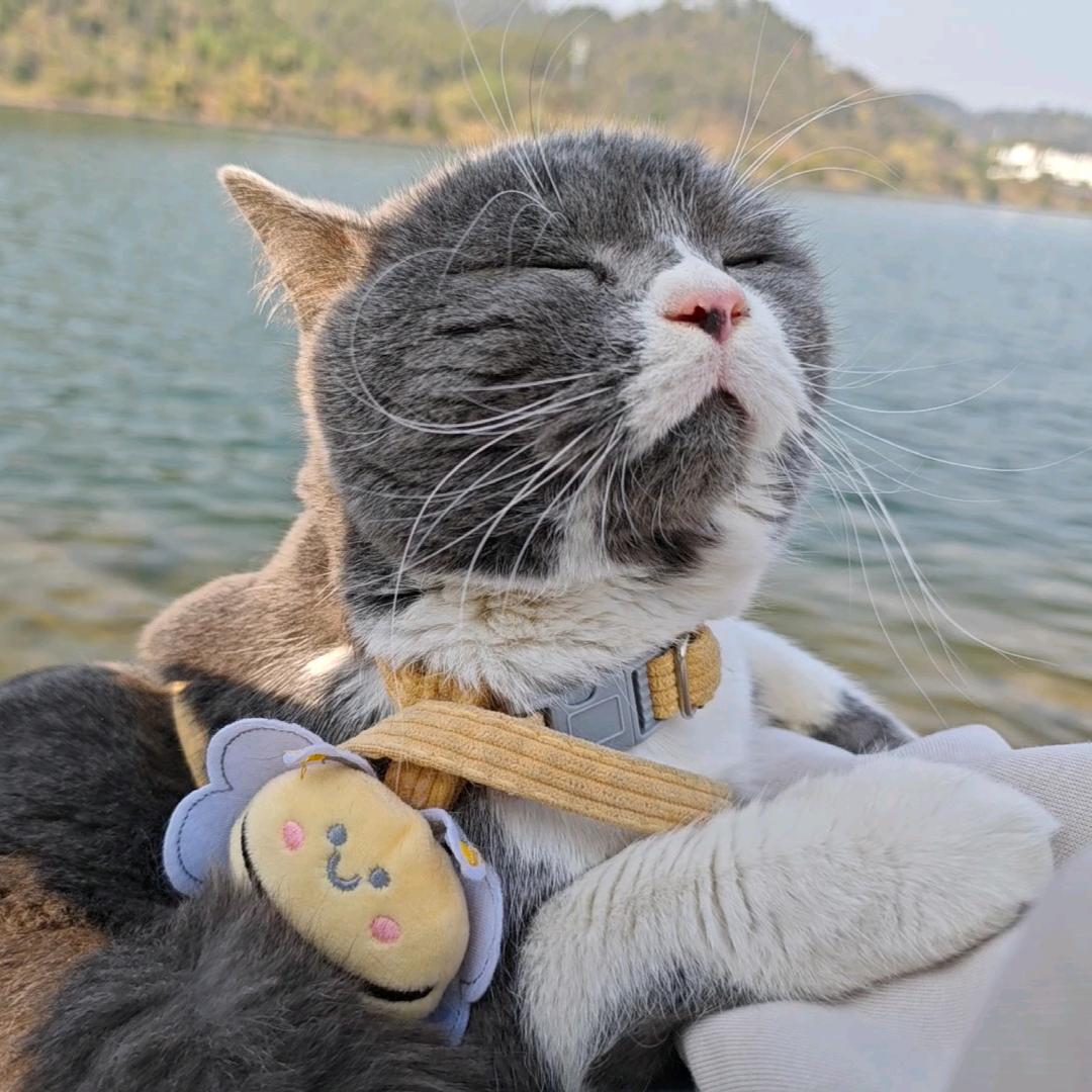 逝水流年