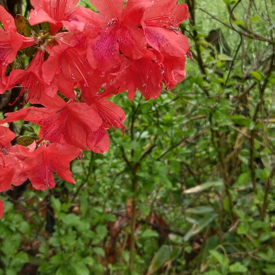 土满鲜11号农场 婷姐