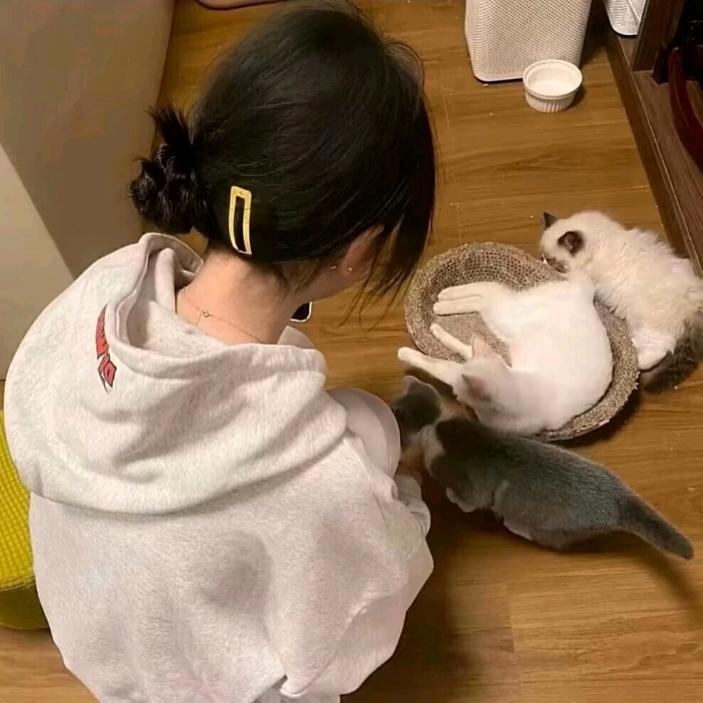 初见.