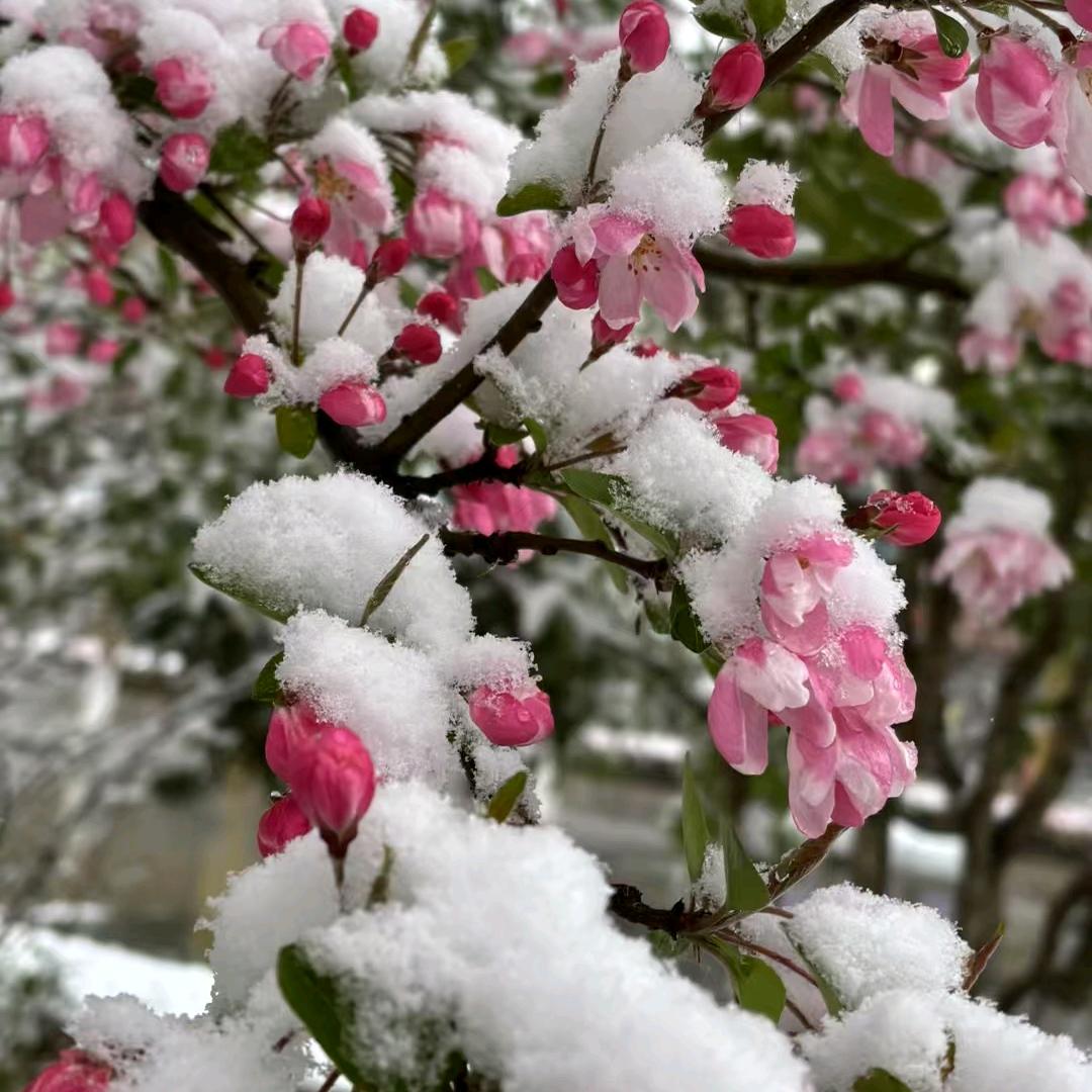 人生很短想开点，看淡一点