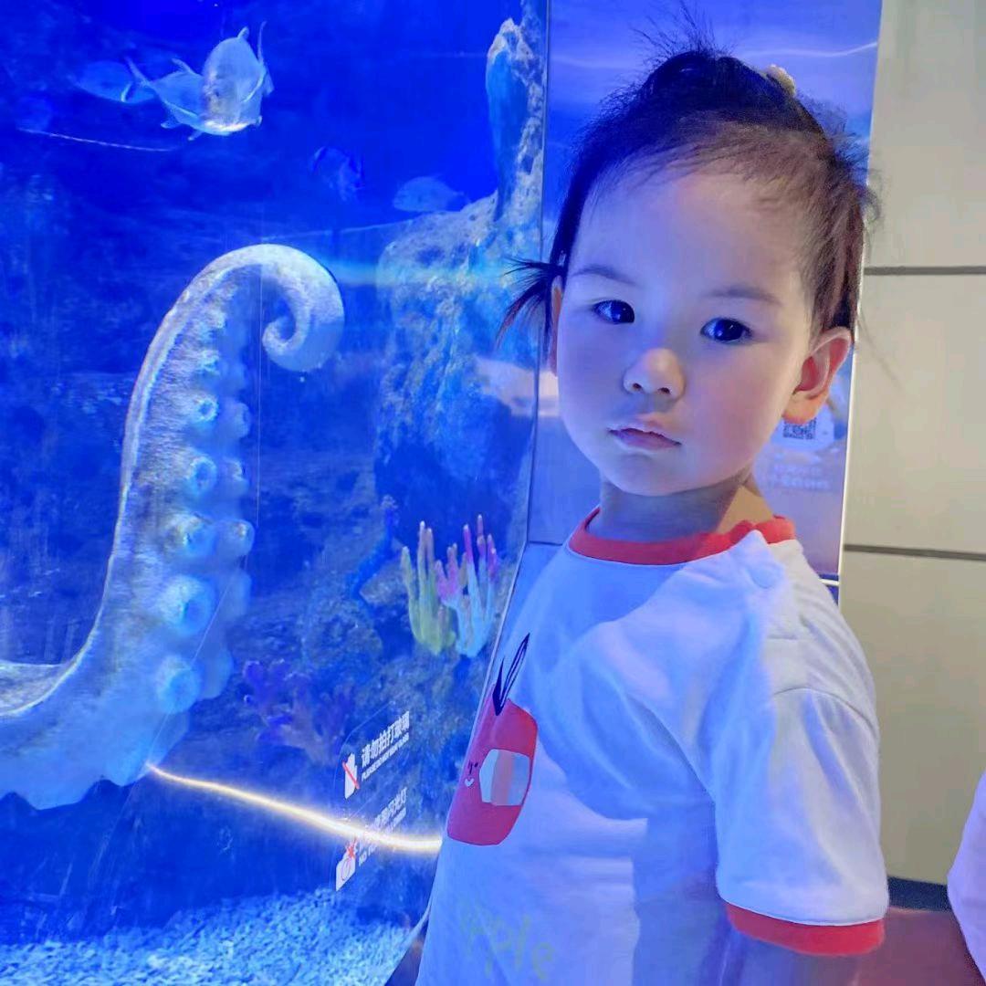 就叫王豆豆吧！