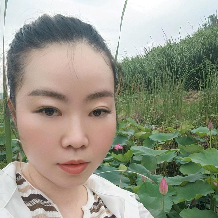 苗苗（首播筹备中）