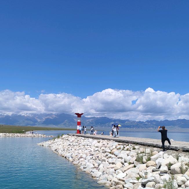 🎋🏵️洛哩洛薺🏵️🎋