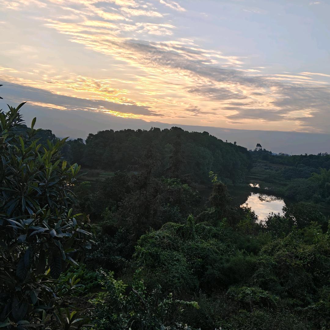 顺其自然顺风顺水