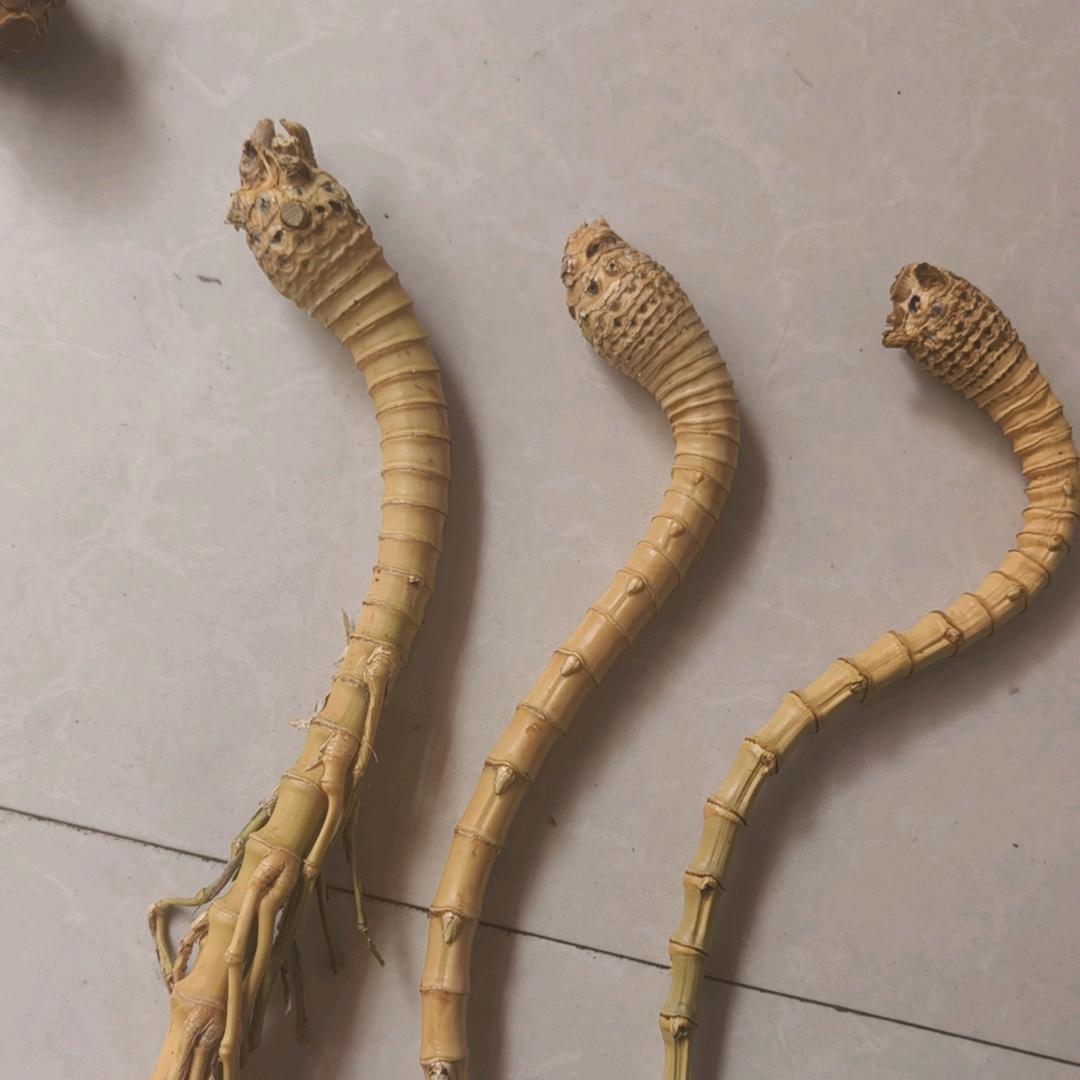 花江创意生活馆