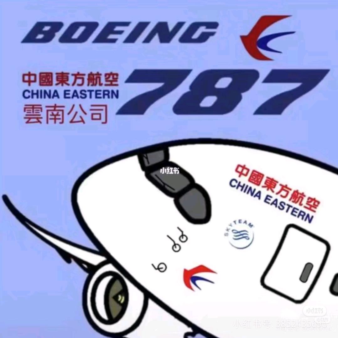 一架东航787（飞友）