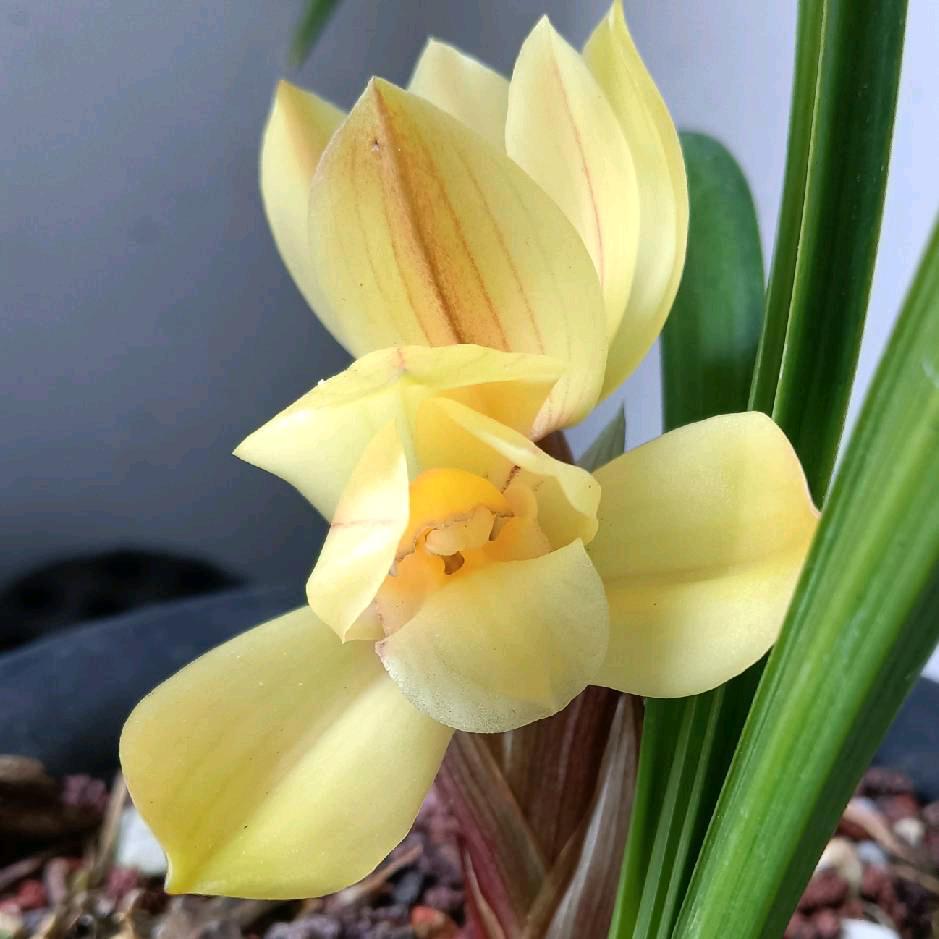 炉子——火力旺