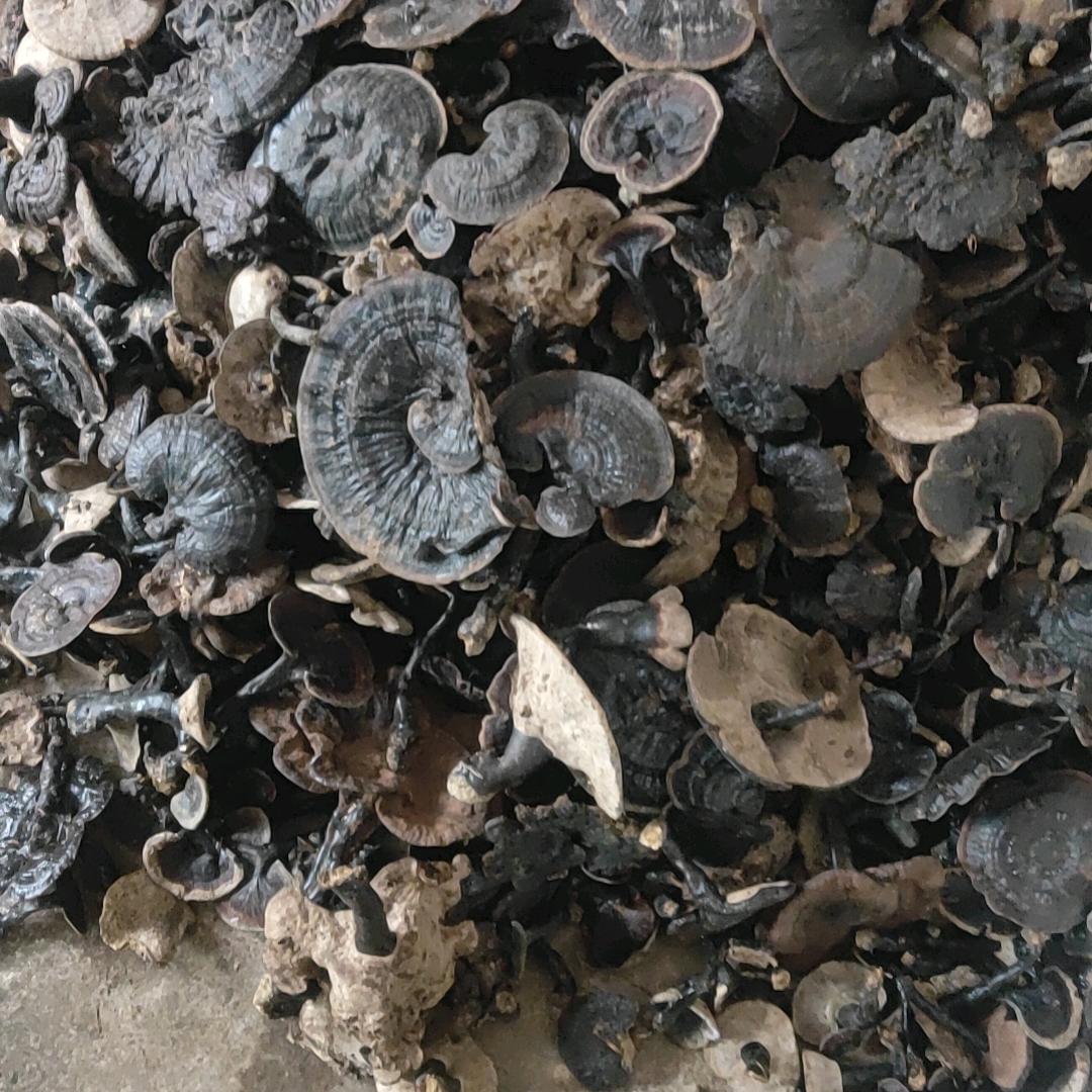 粮之味面条加工坊