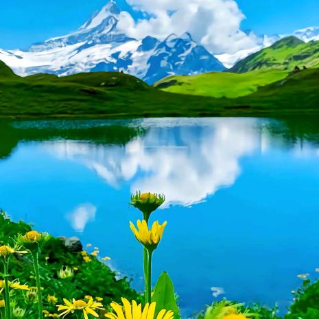 温州小王团购推荐