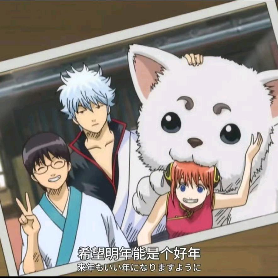 MADAO也会开出花