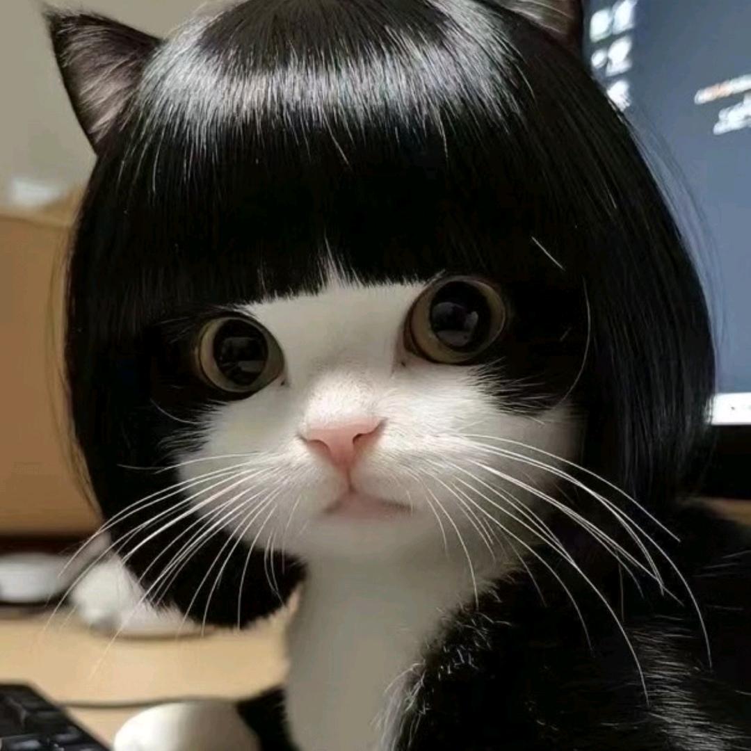 hi我是胖虎