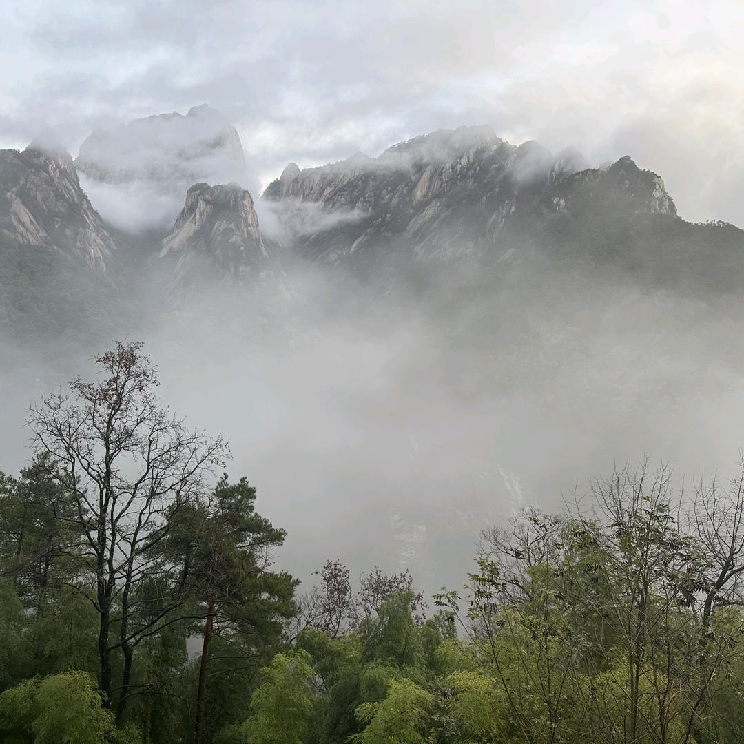 美业源森美军哥