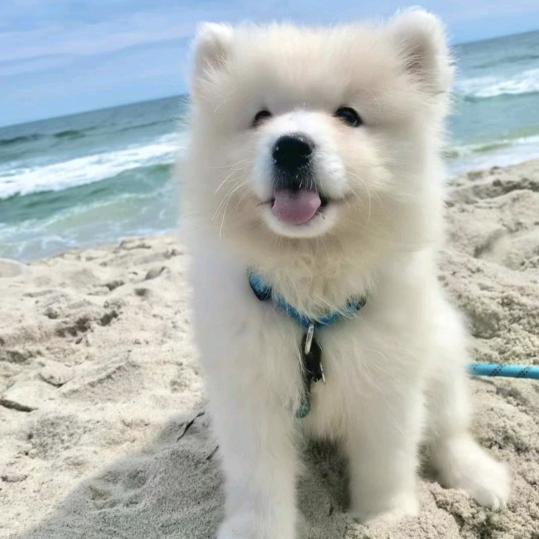 抱歉我不配拥有