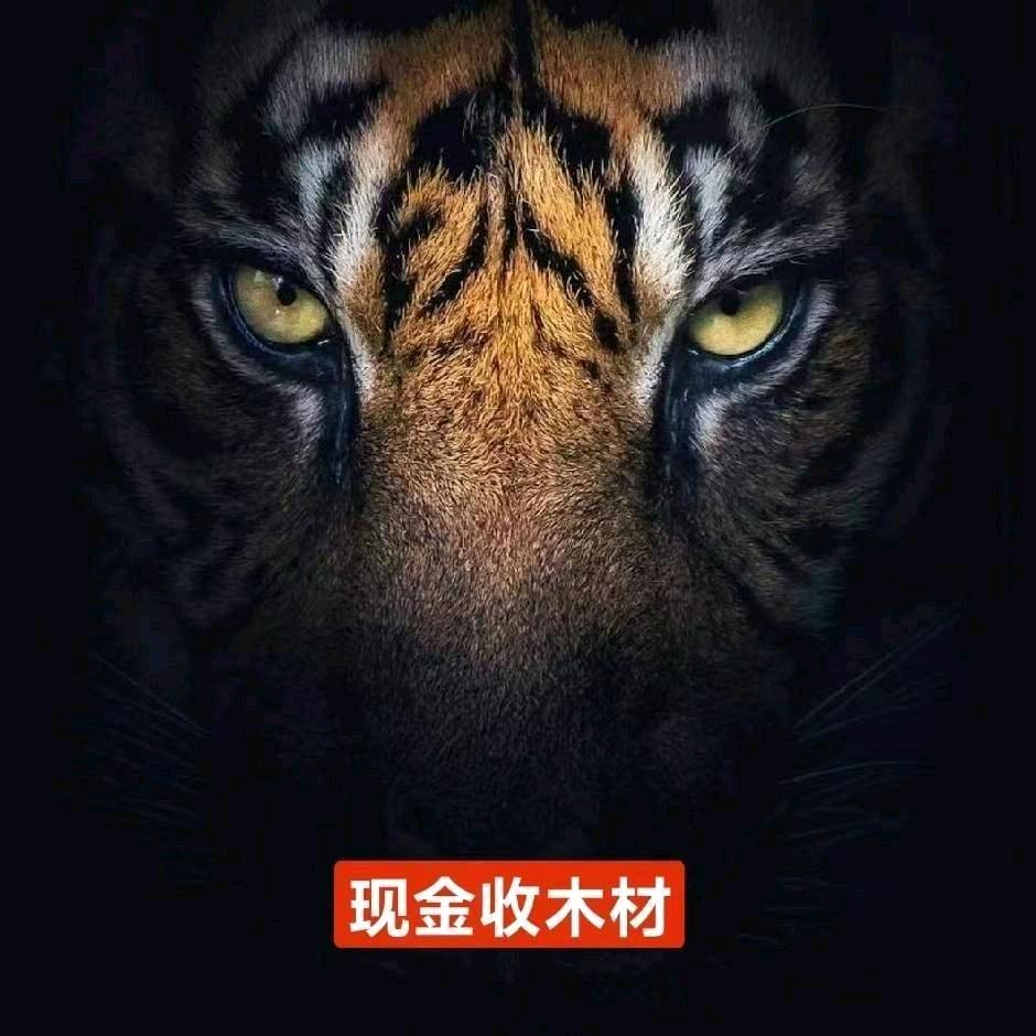 木材回收，木材贸易。