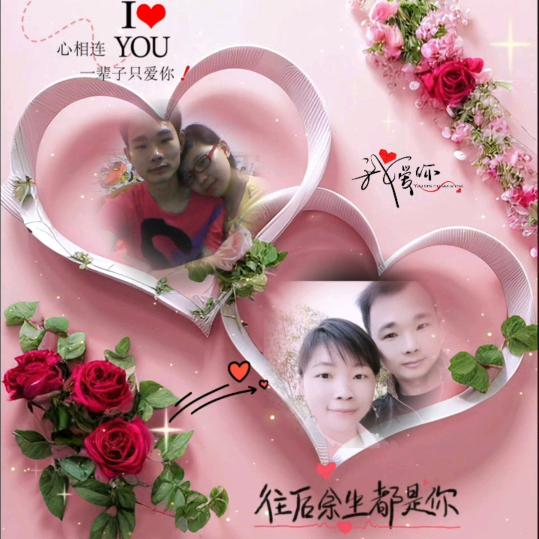 ♬ 💖金♥金💖♬