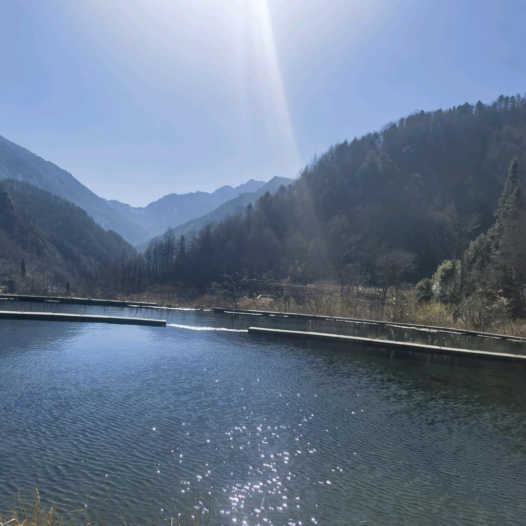 💞꧔ꦿ᭄孙甜可口杨乐多💕 ❧⁵²⁰