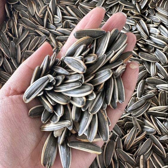 农家人直采直销