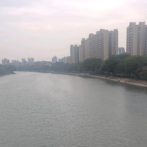 ٩(￥A￥)۶恭喜发财