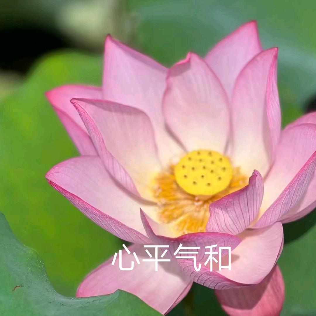 有缘人