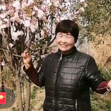 玲姐牛（下午5：25开 播）