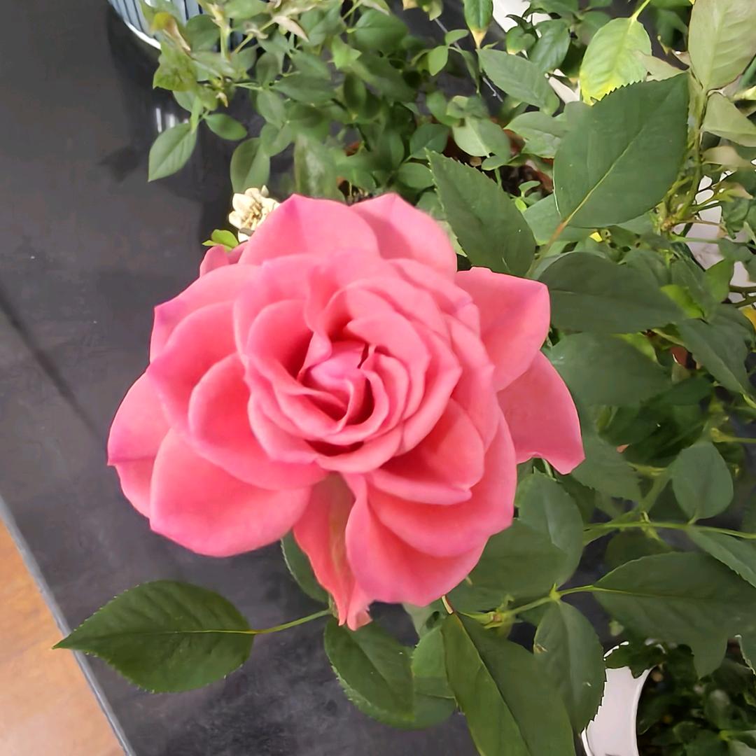 ♥期待以后♥费♥好♥