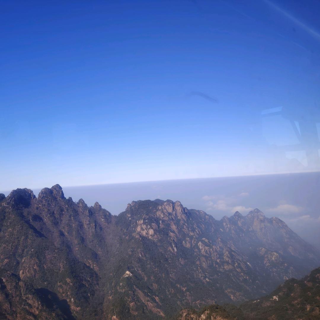 俯首甘为孺子牛