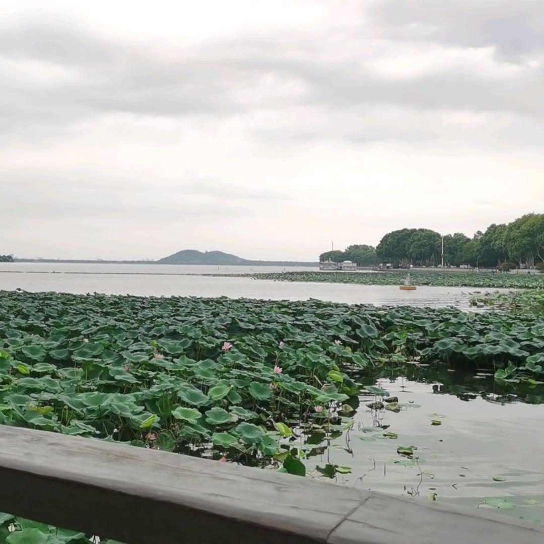 浮生若梦@ 111