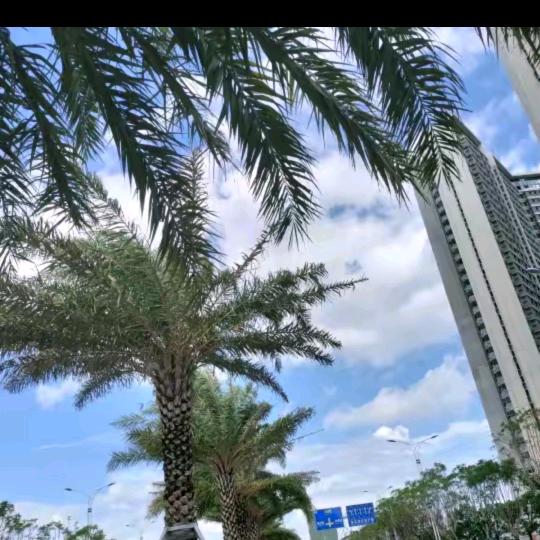 ঞ爱财💞້໌ᮨ悦己࿐ᩚ