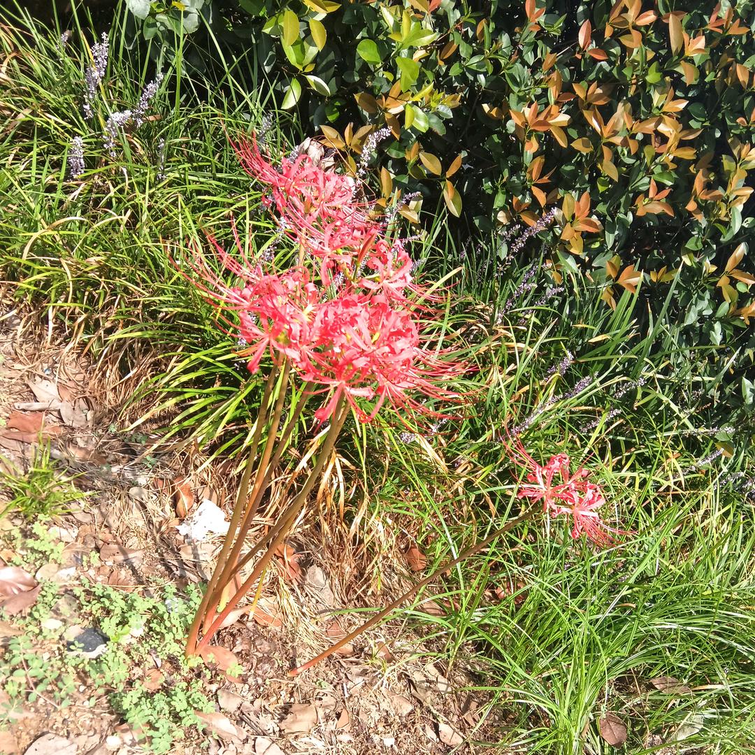 @💞এ᭄゛爱。💋: