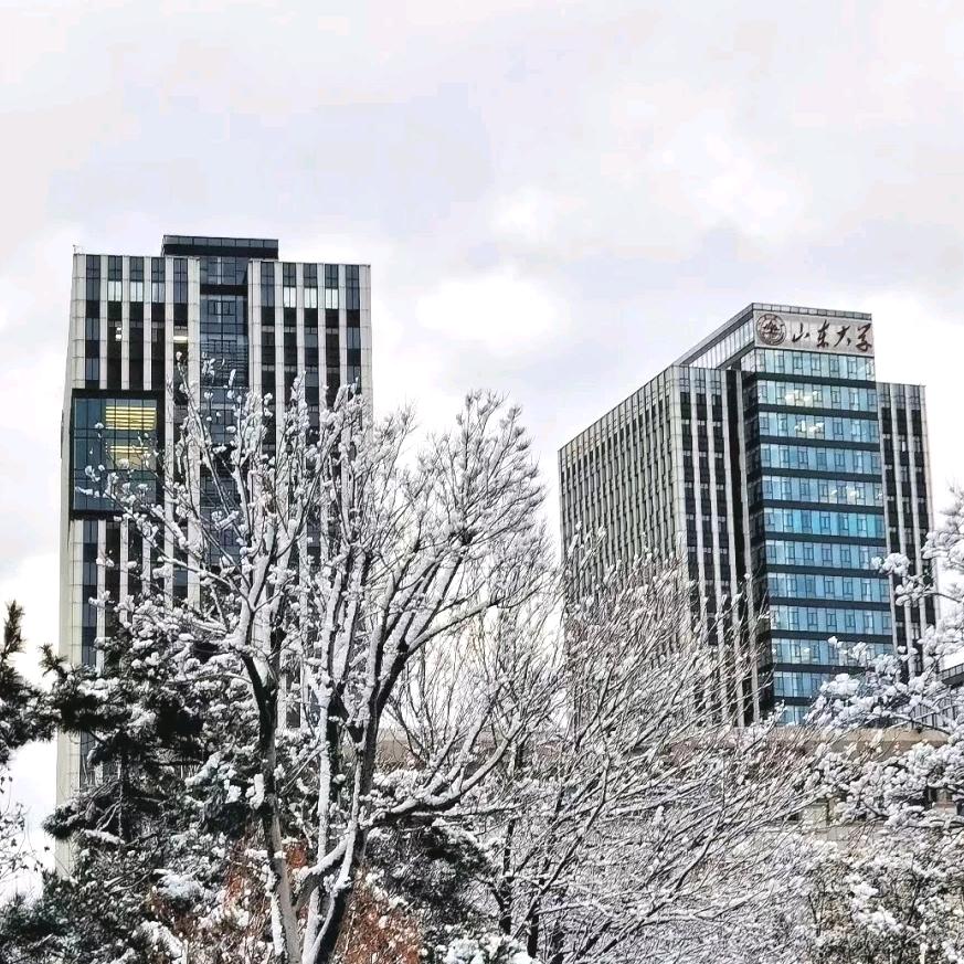 山威学长（咨询主页）