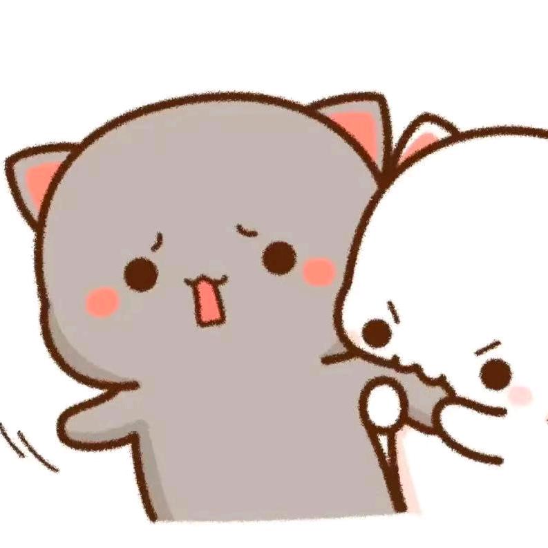 呆泪猫