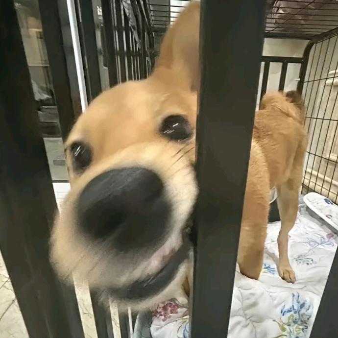 ᅠᅠᅠᅠ   来碗板面🍜