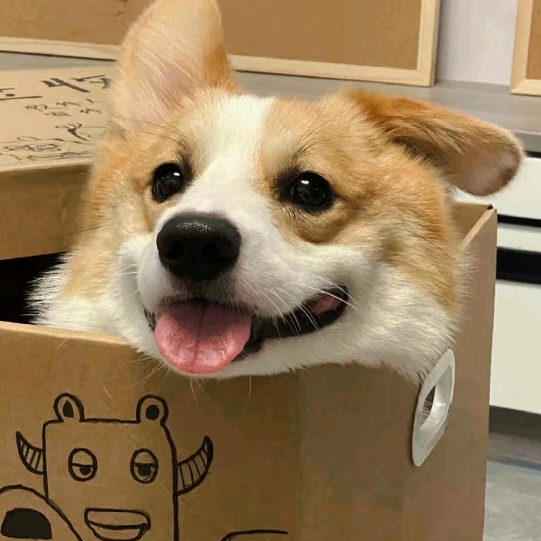 啵叽一口小兔叽🐰