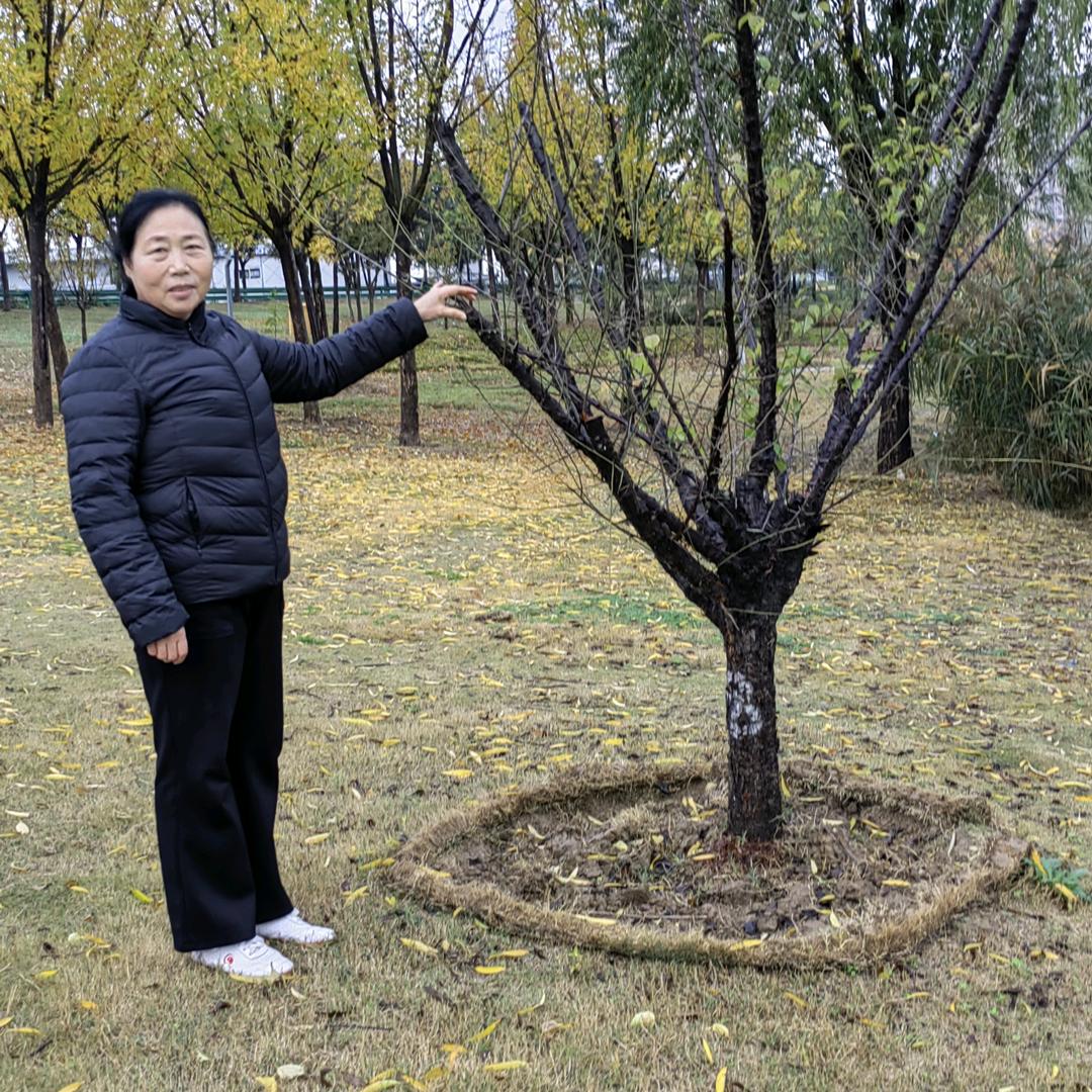 幸福之家