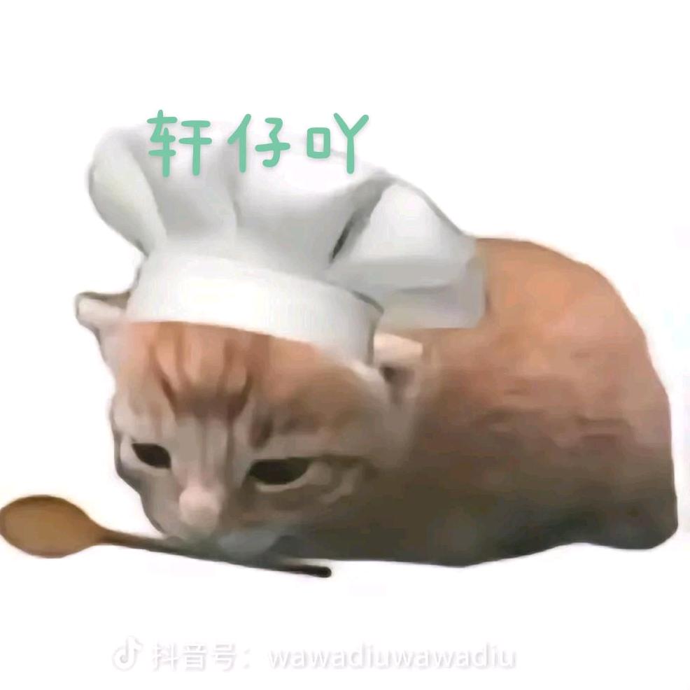 轩仔吖