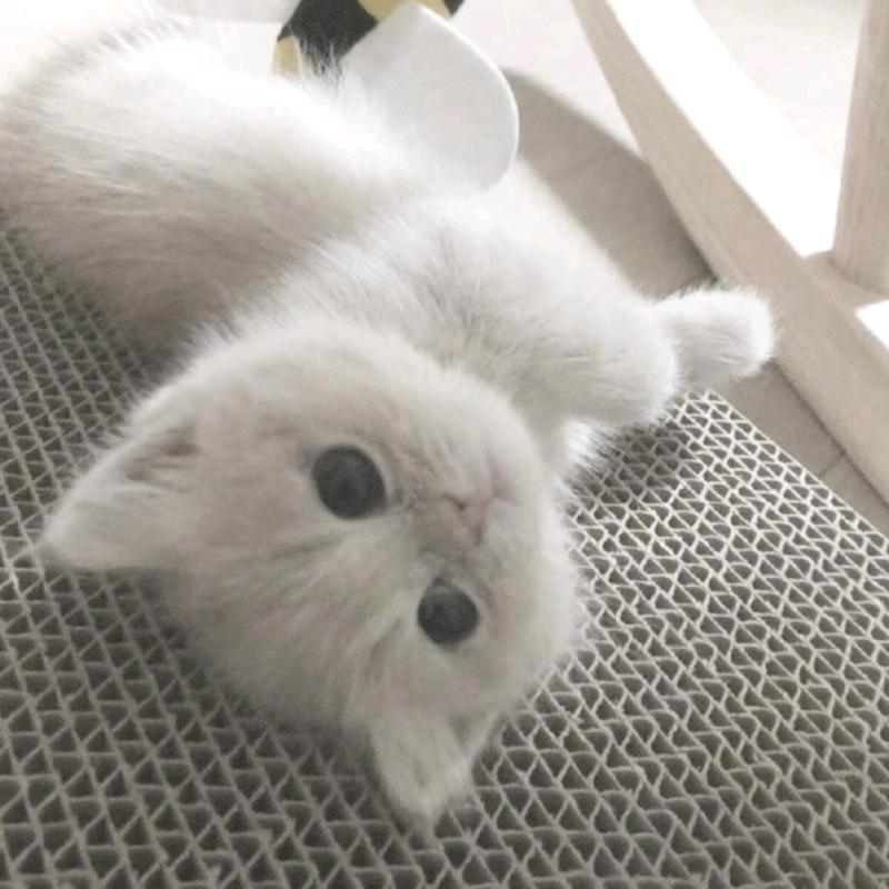 暗色水底