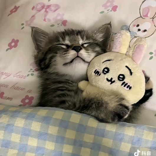 十点睡不着💤